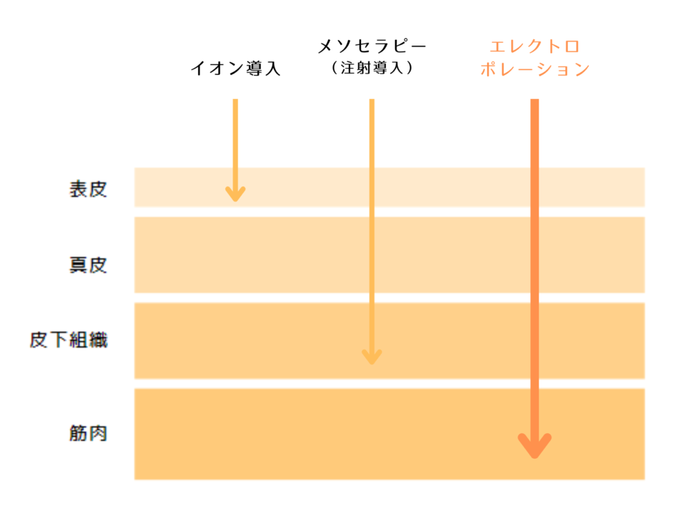 エレクトロポレーション