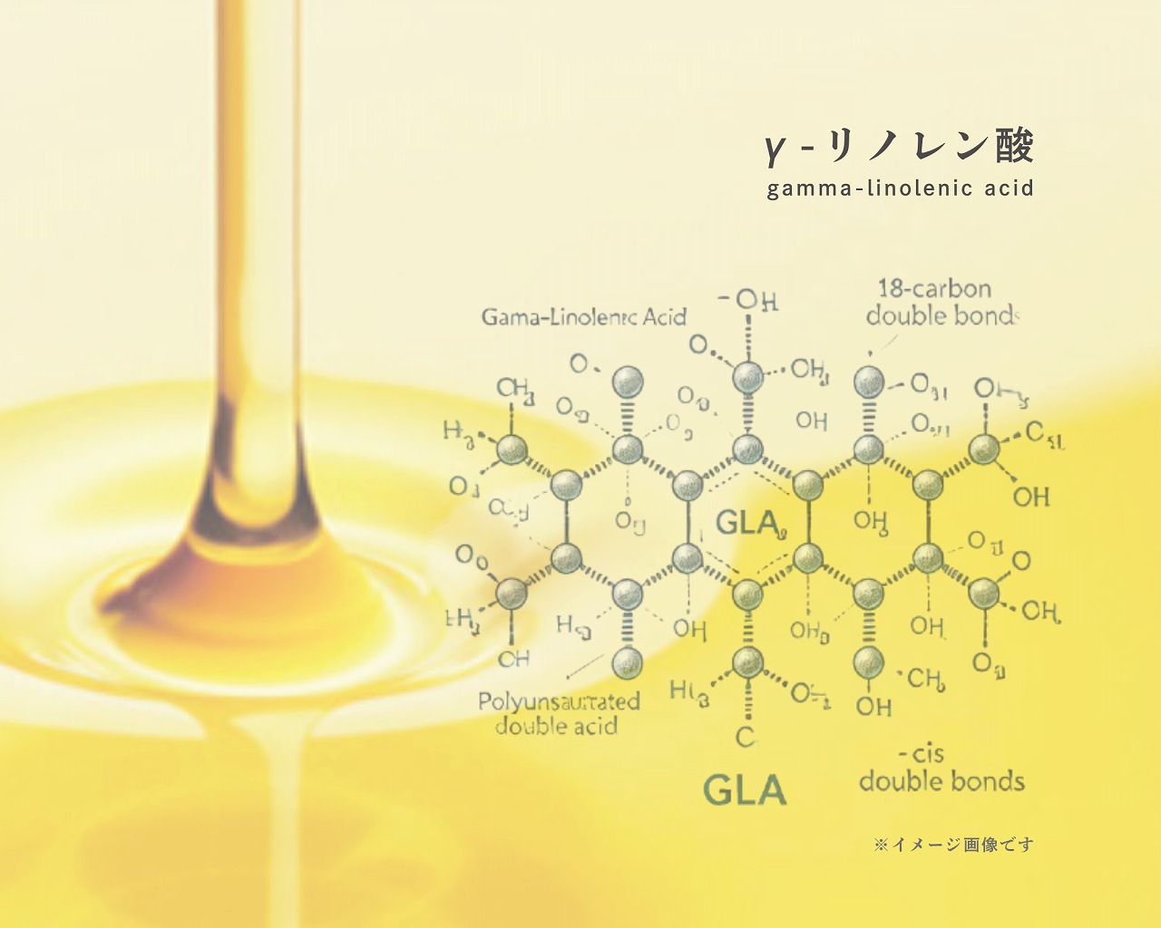 ガンマリノレン酸（γ-リノレン酸）