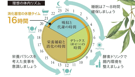ナチュラルハイジーン