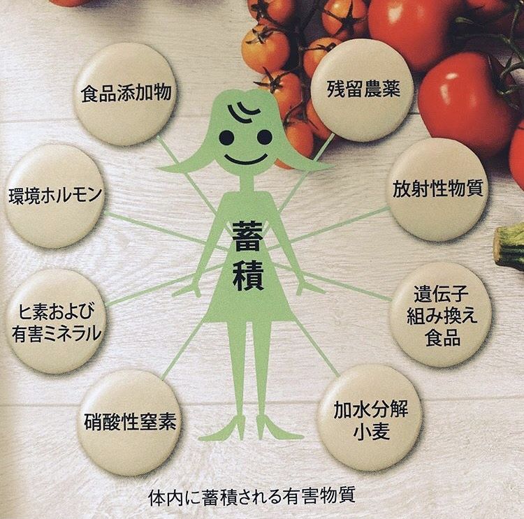 体内に蓄積される有害物質