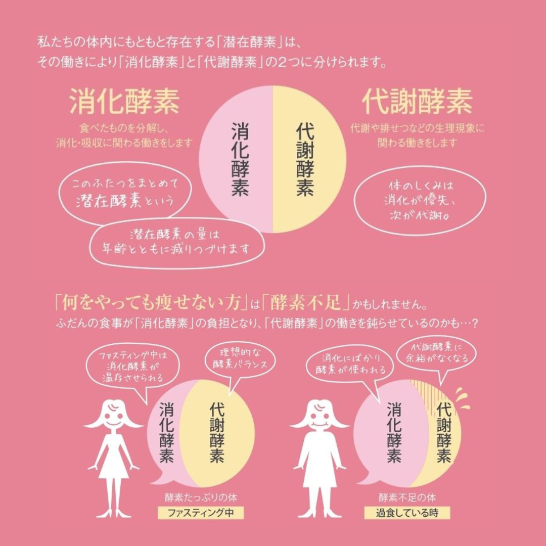 代謝酵素と消化酵素