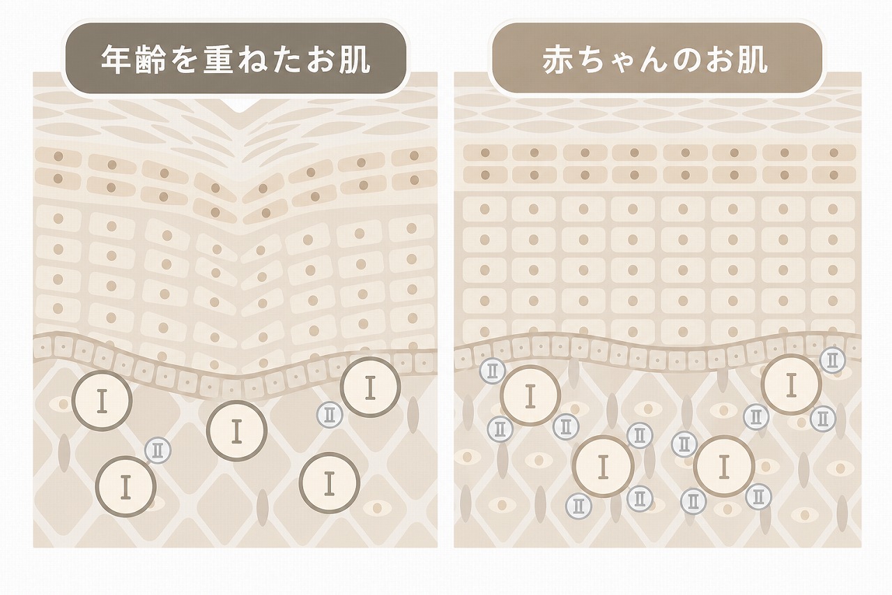 ベビーコラーゲン